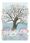Snow Tree Boxed Cards
