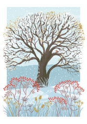 Snow Tree Boxed Cards