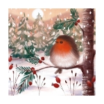 Fluffy Robin Boxed Cards