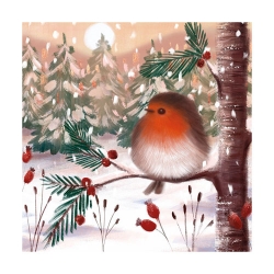 Fluffy Robin Boxed Cards