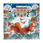 Snowy Squirrels Boxed Cards