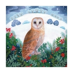 Winter Owl Boxed Cards