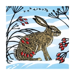 Snow Hare Boxed Cards