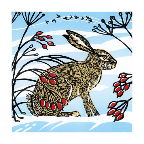Snow Hare Boxed Cards