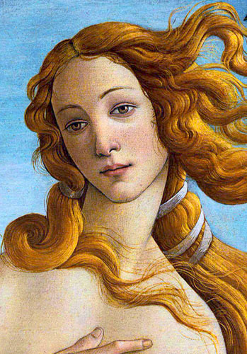 Botticelli Mini Card