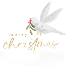 Christmas Dove Greeting Card