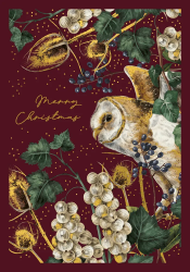 Merry Christmas Owl Christmas Card