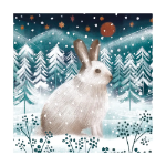 Arctic Hare Boxed Cards
