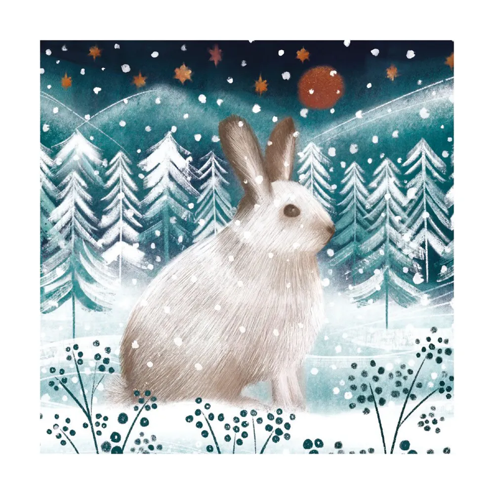 Arctic Hare Boxed Cards