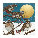 Winter Visitors Boxed Cards