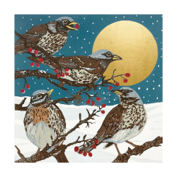 Winter Visitors Boxed Cards