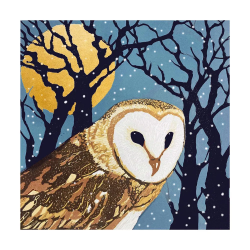 Full Moon Boxed Cards