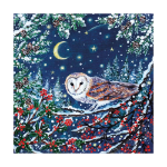 Owl & Moon Boxed Cards