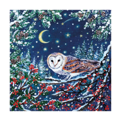 Owl & Moon Boxed Cards