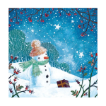 Snowman's Gift Boxed Cards