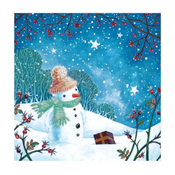 Snowmans Gift Boxed Cards