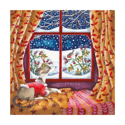 Window Seat Boxed Cards