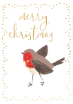 Robin Boxed Christmas Cards