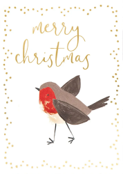 Robin Boxed Christmas Cards