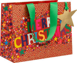 Starburst Medium Landscape Gift Bag