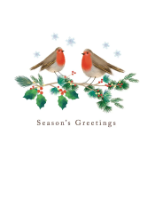 Holiday Robins Christmas Card
