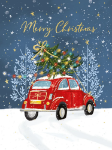 Merry Christmas Boxed Cards