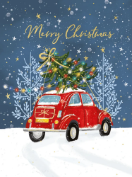 Merry Christmas Boxed Cards