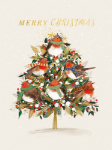 Robins & Tree Boxed Cards