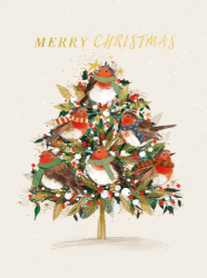 Robins & Tree Boxed Cards