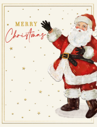 Merry Xmas Santa Boxed Cards