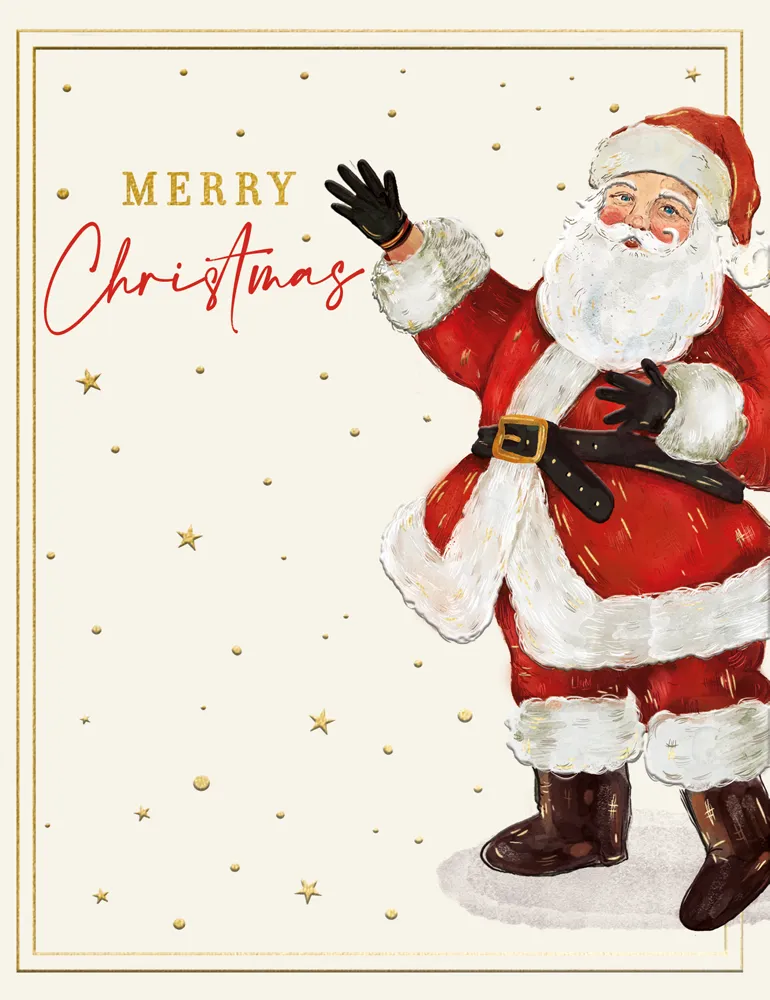 Merry Xmas Santa Boxed Cards