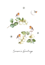 Mistletoe Birds Christmas Card