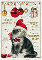 Santa Kitten Christmas Postcard