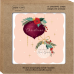 Xmas Ornaments Boxed Cards