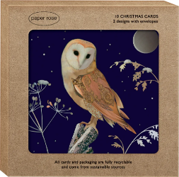 Xmas Birds Boxed Cards