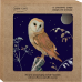 Xmas Birds Boxed Cards